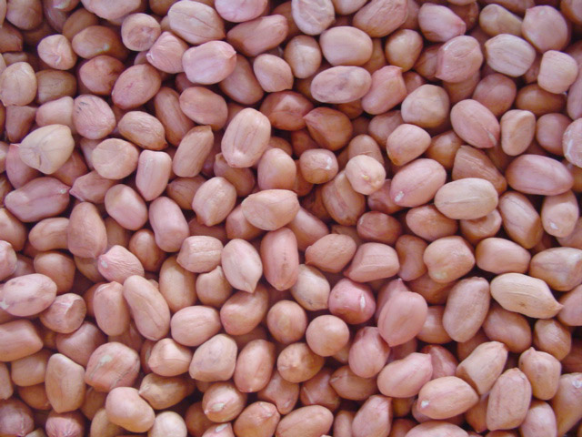  raw peanut Spanish type